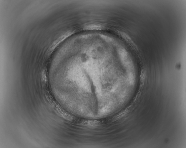 X0000115581209200912011431