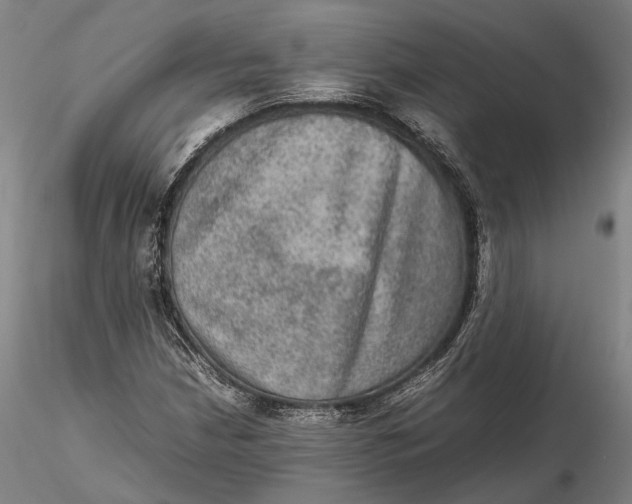 X0000115581210200912011431