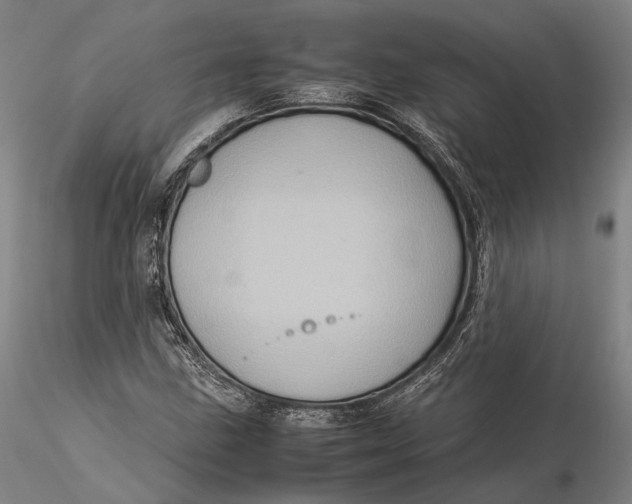 X0000115581211200912011431