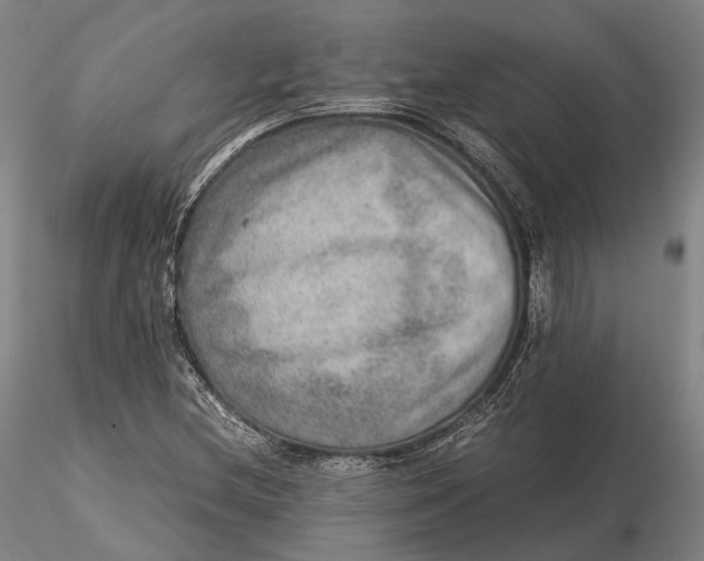 X0000115581212200912011431