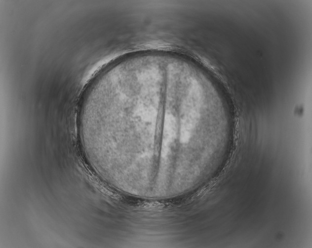 X0000115581214200912011431