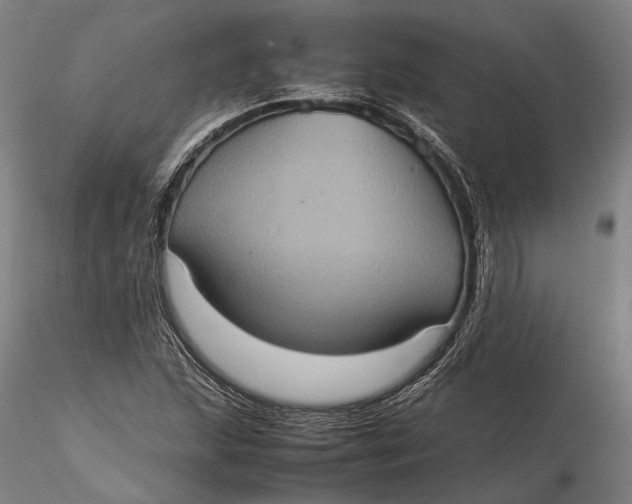 X0000115581215200912011431