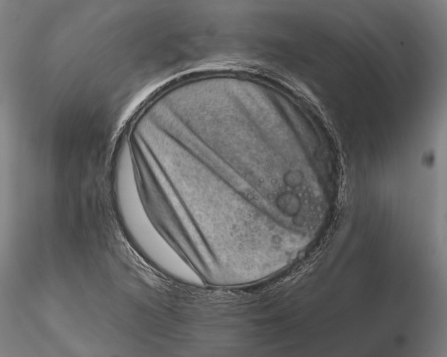 X0000115581216200912011431