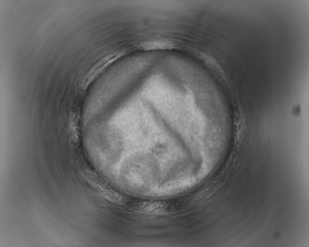 X0000115581217200912011431