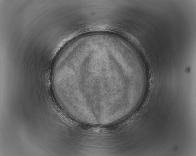 X0000115581218200912011431