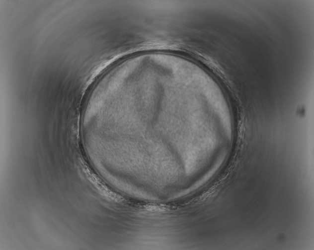 X0000115581220200912011431