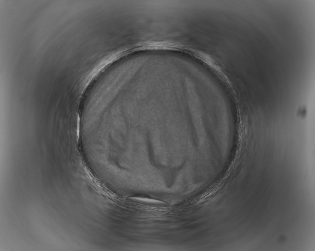 X0000115581221200912011431