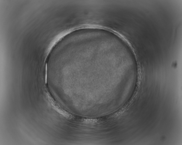 X0000115581223200912011431