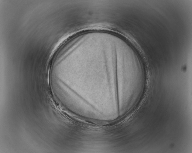 X0000115581224200912011431