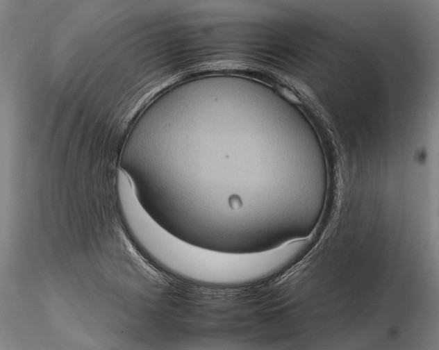 X0000115581225200912011431