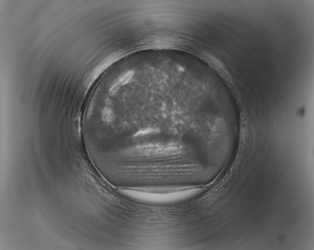 X0000115581226200912011431