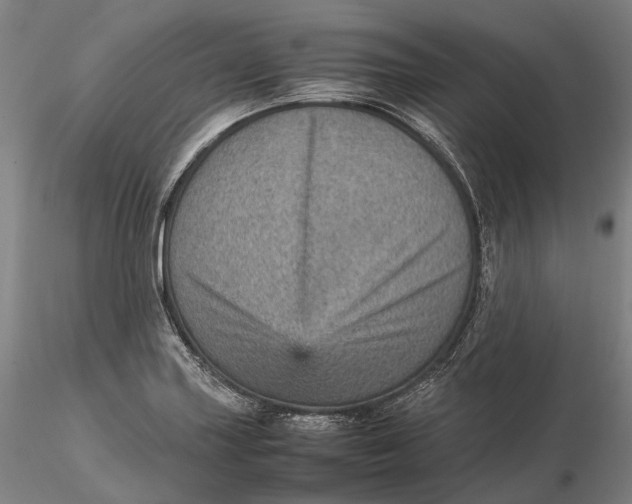 X0000115581227200912011431