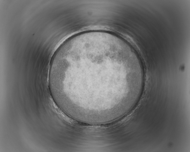 X0000115581228200912011431