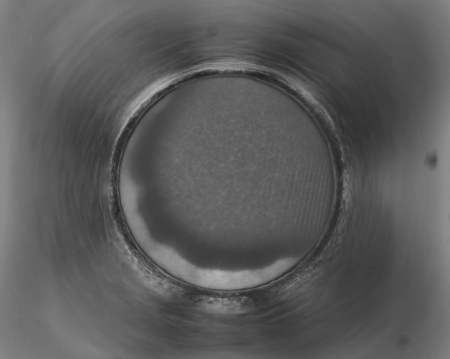 X0000115581229200912011431