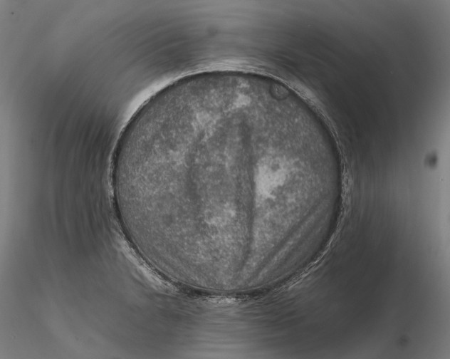 X0000115581230200912011431