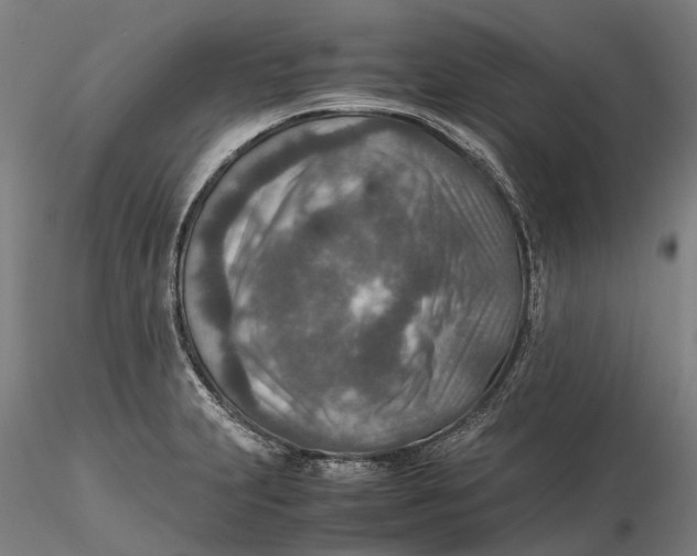 X0000115581231200912011431