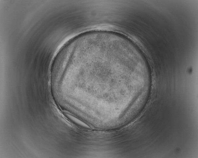 X0000115581232200912011431