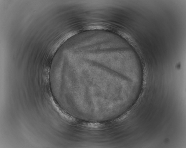 X0000115581233200912011431