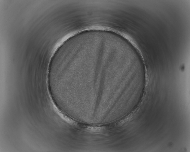 X0000115581237200912011431