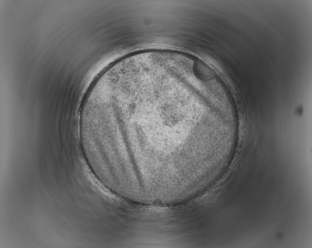 X0000115581238200912011431