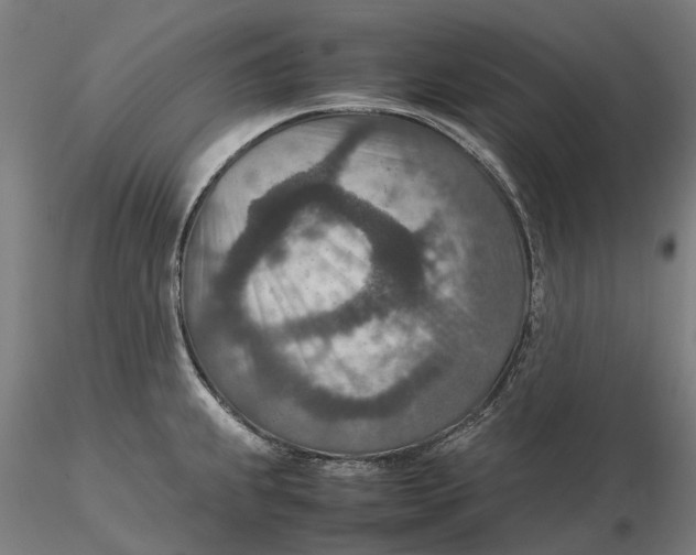 X0000115581239200912011431