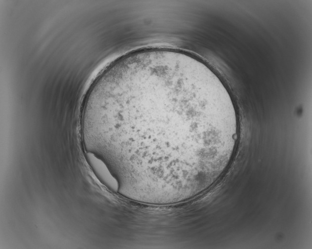 X0000115581240200912011431