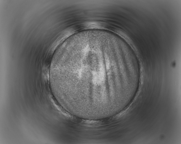 X0000115581241200912011431