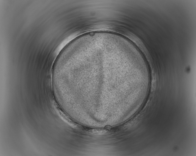 X0000115581242200912011431