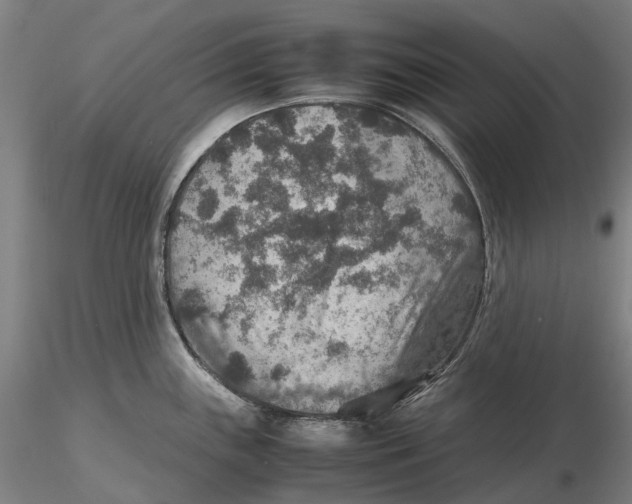 X0000115581243200912011431