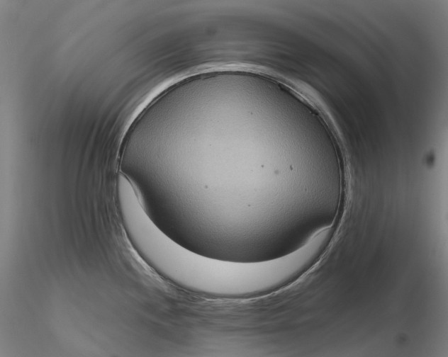 X0000115581244200912011431