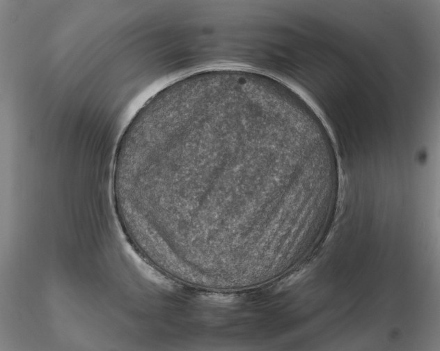 X0000115581245200912011431