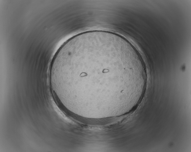 X0000115581246200912011431