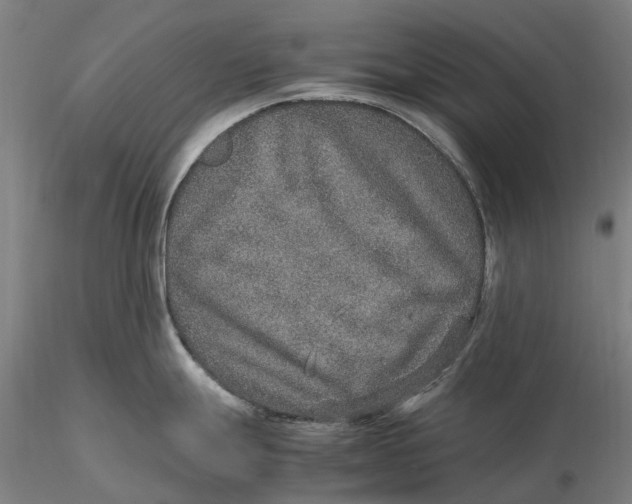 X0000115581247200912011431