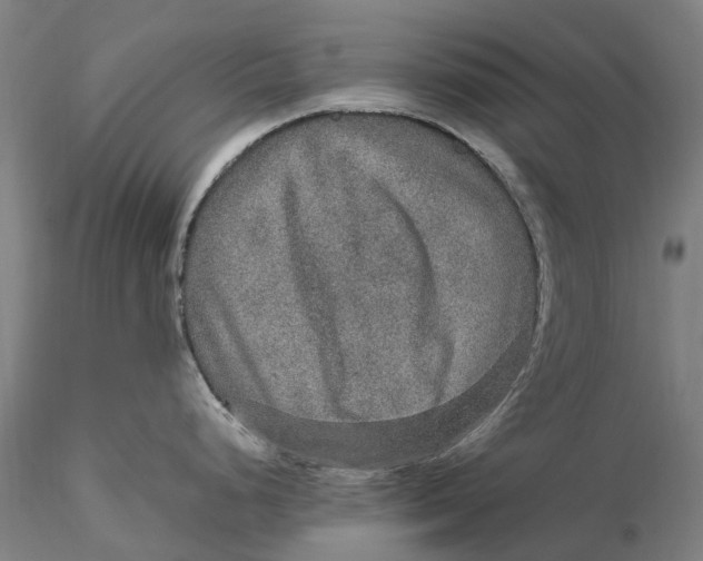 X0000115581248200912011431