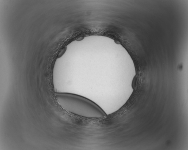 X0000115581249200912011430