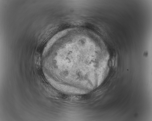 X0000115581251200912011430