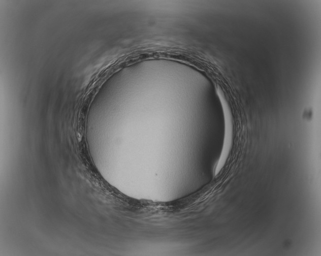 X0000115581253200912011430