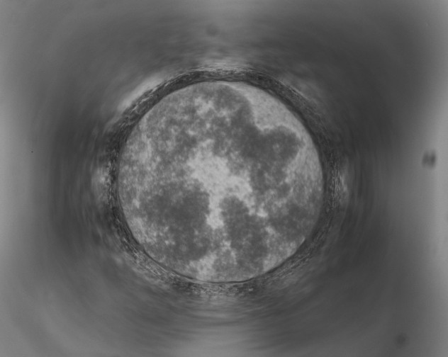 X0000115581254200912011430