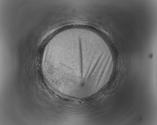 X0000115581255200912011430