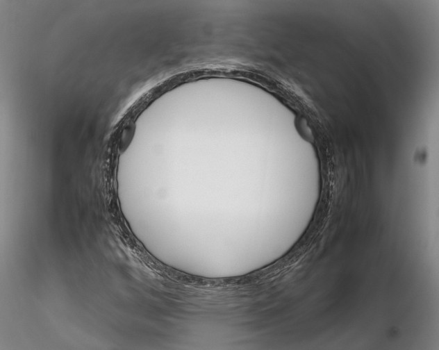 X0000115581256200912011430