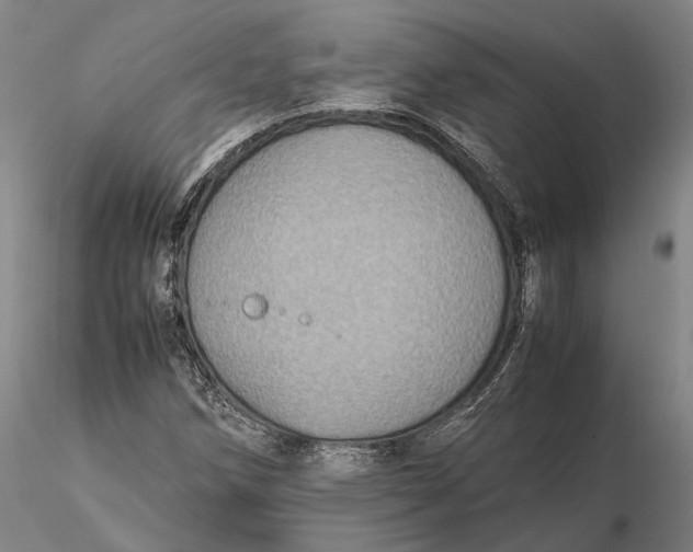 X0000115581258200912011430