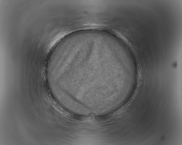 X0000115581259200912011430