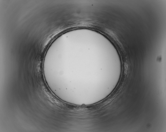 X0000115581260200912011430