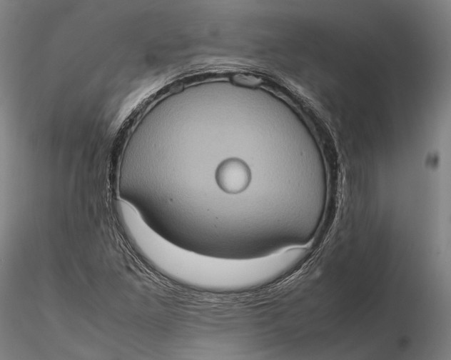 X0000115581261200912011430