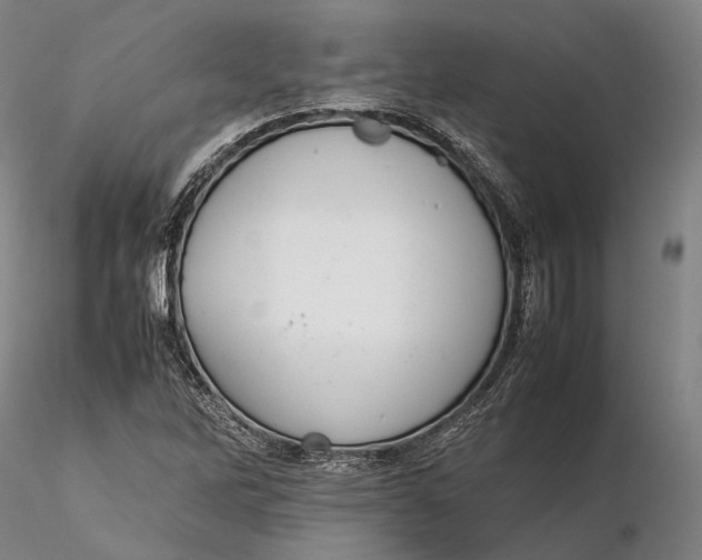 X0000115581262200912011430