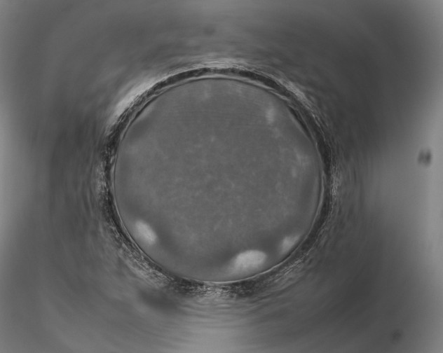 X0000115581263200912011430