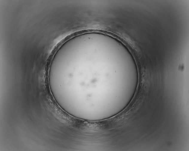 X0000115581264200912011430