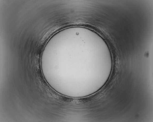 X0000115581265200912011430