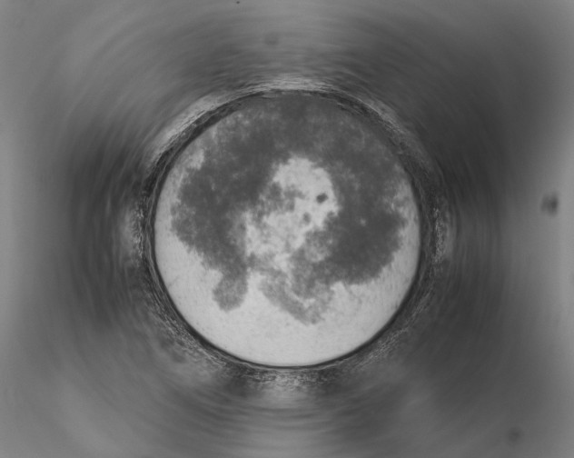 X0000115581266200912011430