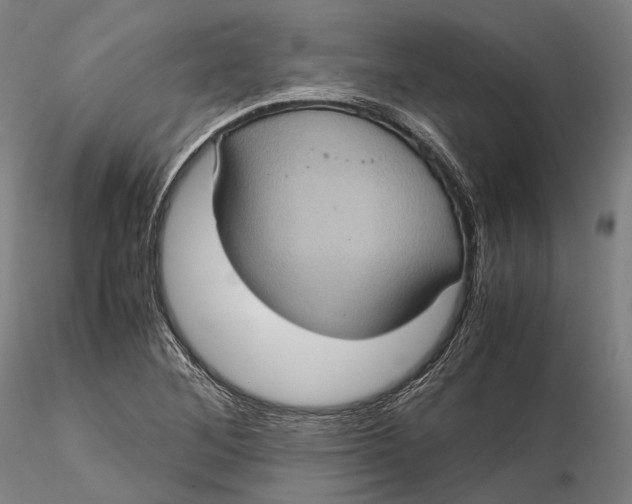 X0000115581268200912011430